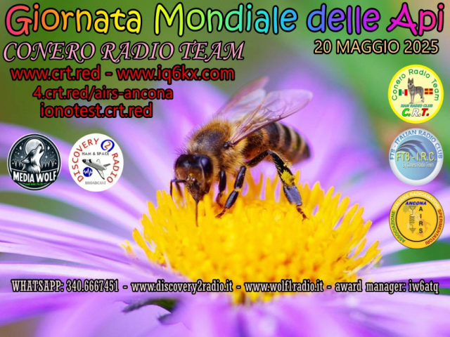 FT8-4 TIME MAGGIO 2025