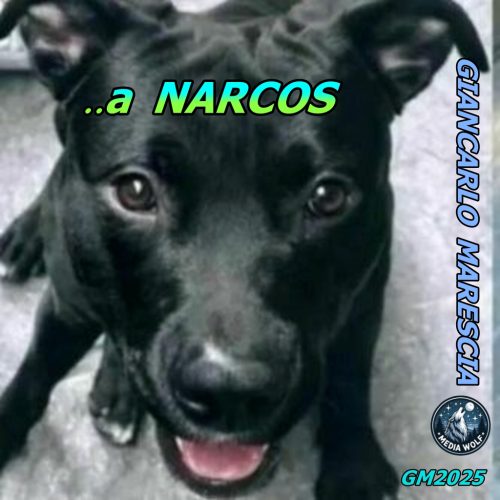 RACCOLTA DI FIRME PER NARCOS E CANZONE DEDICATA