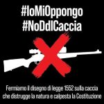 CACCIA