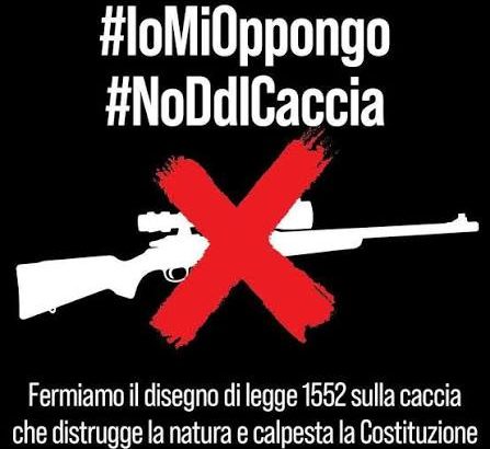 CACCIA