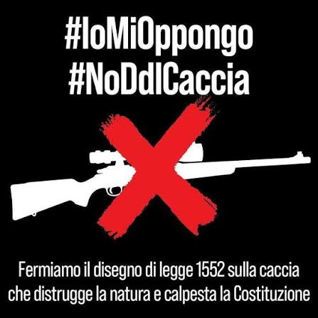 CACCIA