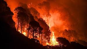 INCENDIO_2